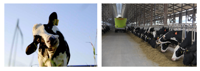 完美体育在线(中国)唯一官方网站丨每天一杯奶，幸福健康喝出来！！！