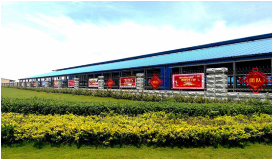 “ 看听谈查 ”板 找短板 党建巡查促提升——完美体育在线(中国)唯一官方网站集团党委开展基层党建工作巡查 “ 看听谈查 ”板 找短板 党建巡查促提升——完美体育在线(中国)唯一官方网站集团党委开展基层党建工作巡查