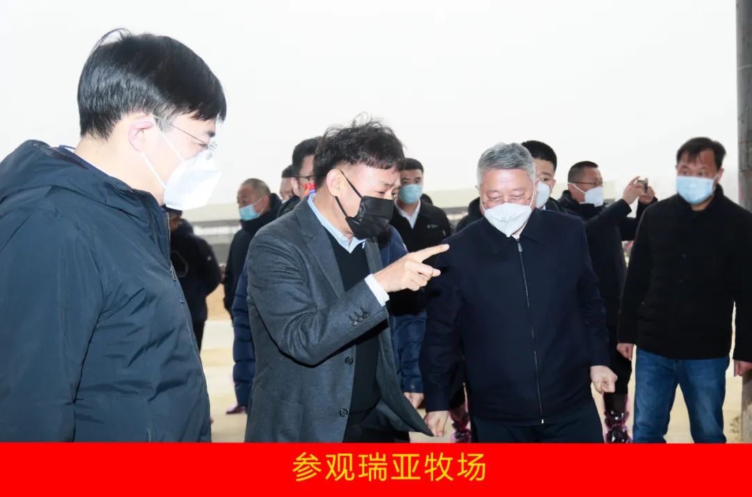 新年开新局 合作促发展丨佳木斯市委常委、副市长闫志刚一行莅临完美体育在线(中国)唯一官方网站乳业集团及佳田企业考察座谈