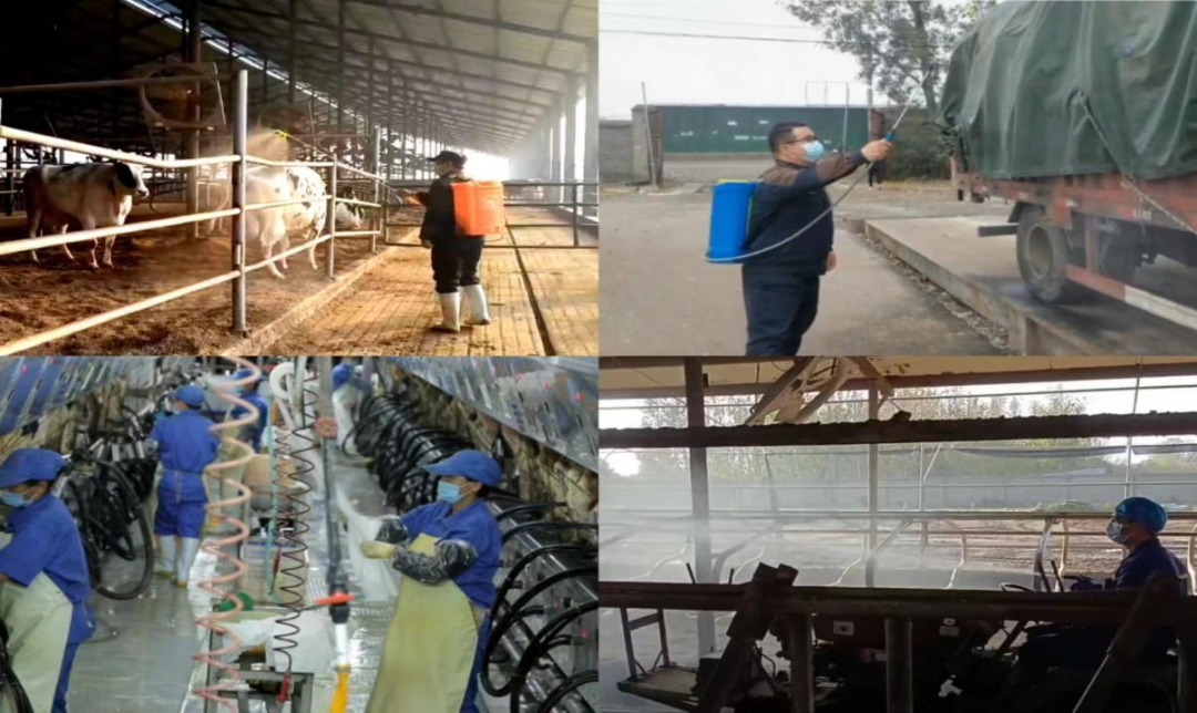 @全体完美体育在线(中国)唯一官方网站人：请珍惜你的岗位，请善待我们共同的“完美体育在线(中国)唯一官方网站”！