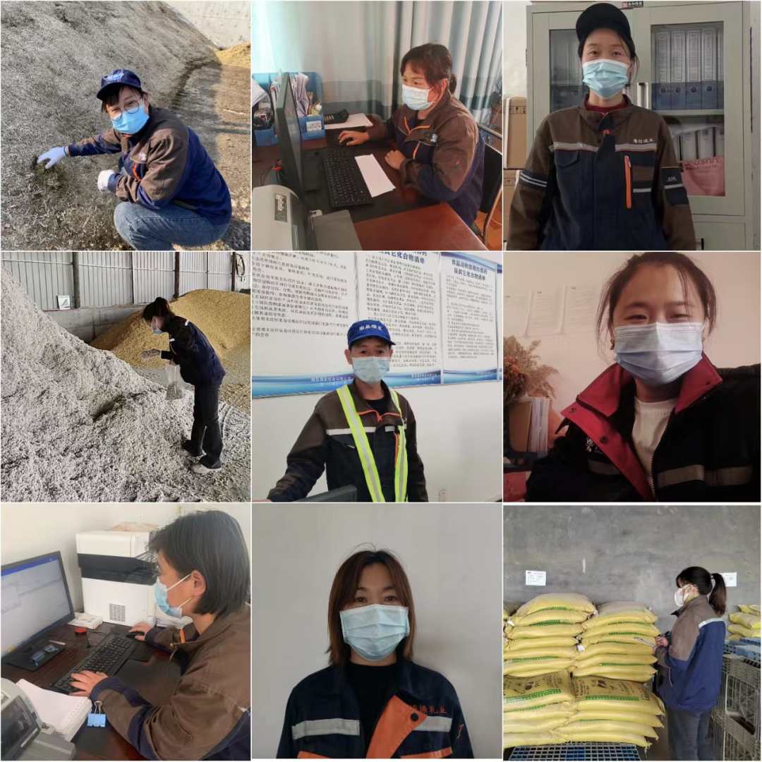 完美体育在线(中国)唯一官方网站丨点点微光汇星河——养殖事业部抗疫保生产侧记