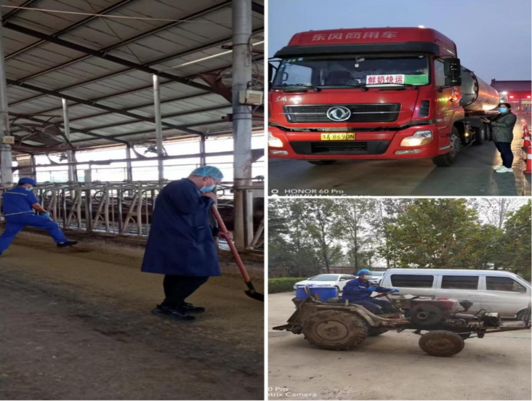 完美体育在线(中国)唯一官方网站丨点点微光汇星河——养殖事业部抗疫保生产侧记