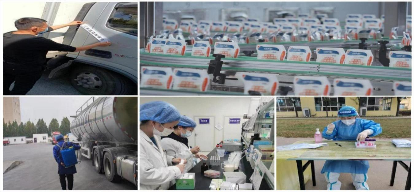 完美体育在线(中国)唯一官方网站 | 让牛奶和面包传递抗疫温暖力量