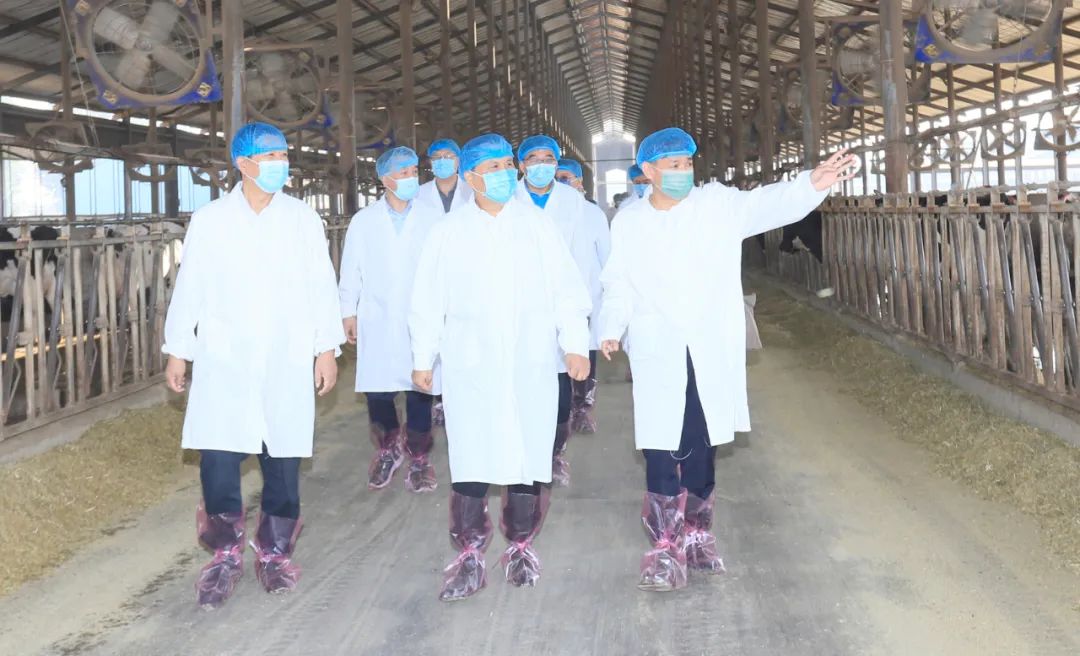 快讯丨河南省人民政府副省长武国定莅临完美体育在线(中国)唯一官方网站乳业集团瑞亚牧业调研奶源基地建设情况