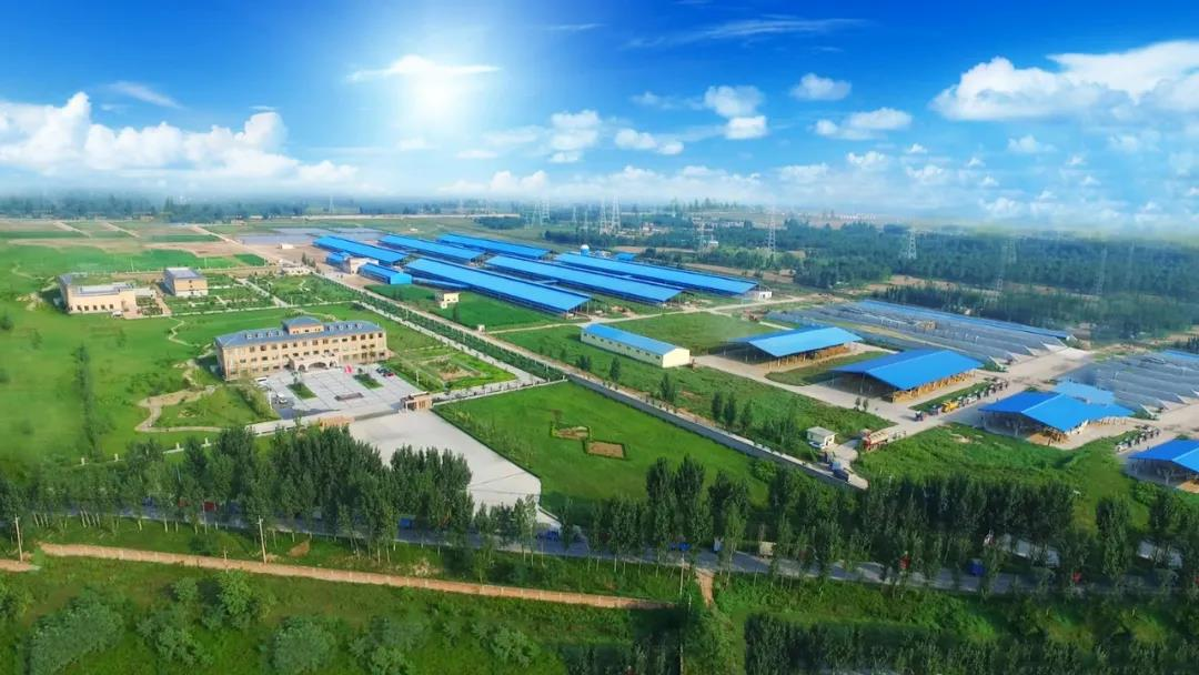 喜讯 | 完美体育在线(中国)唯一官方网站一座自有牧场入选河南省“DHI测定优秀牧场”