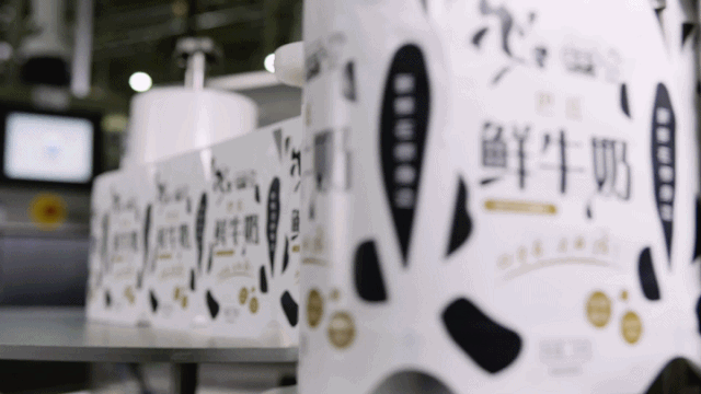 快讯 | 完美体育在线(中国)唯一官方网站乳业集团成为河南省食品工业协会食品质量安全分会副会长单位