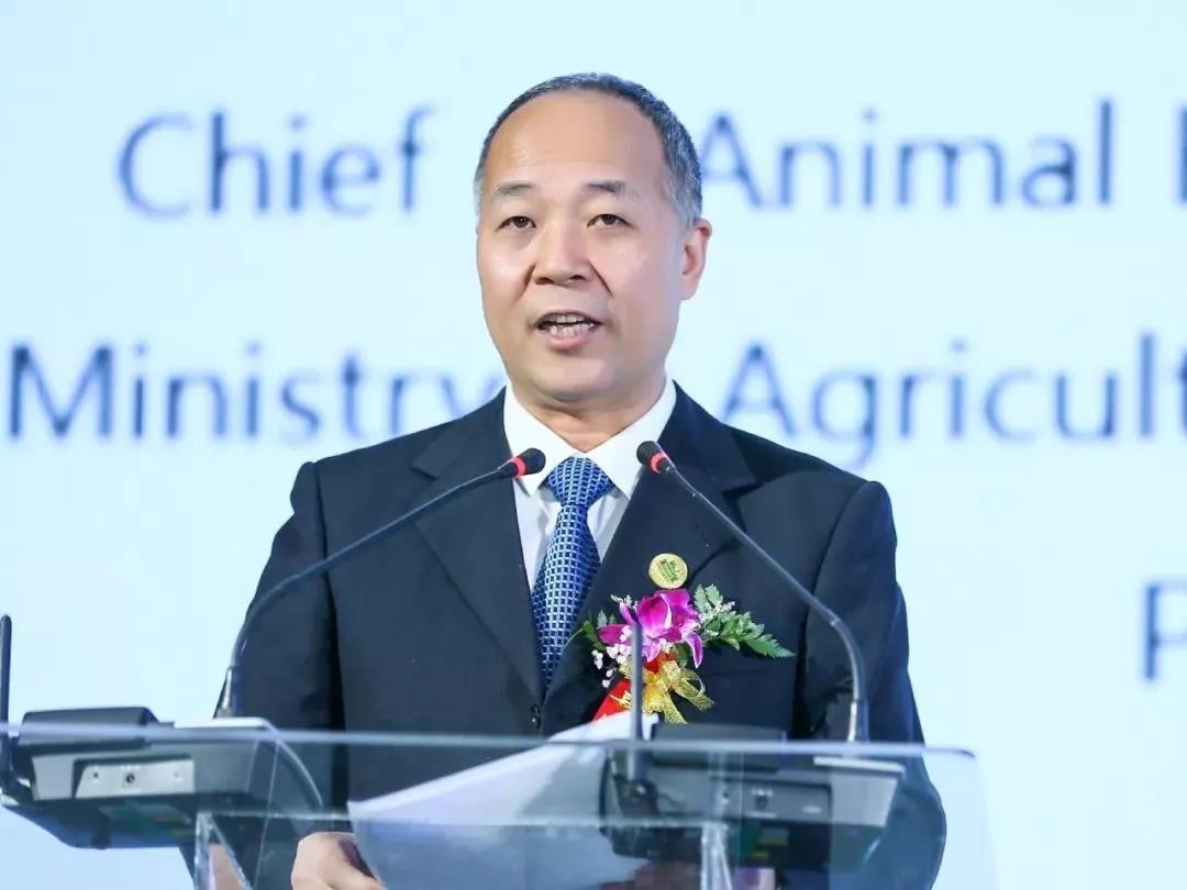 SDDDC走进河南，看看完美体育在线(中国)唯一官方网站的国际范儿！