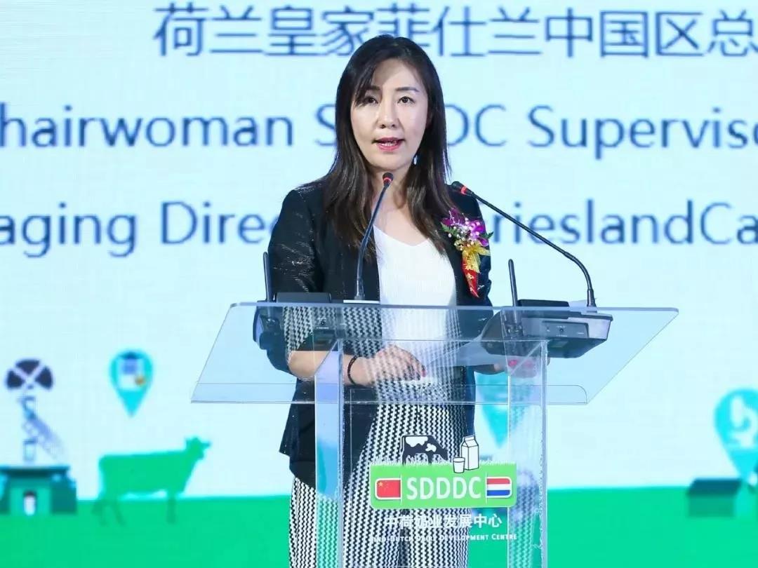 SDDDC走进河南，看看完美体育在线(中国)唯一官方网站的国际范儿！