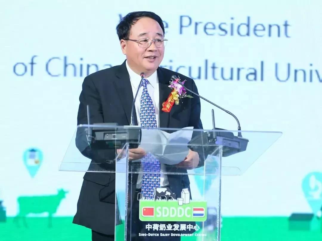 SDDDC走进河南，看看完美体育在线(中国)唯一官方网站的国际范儿！