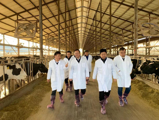 宁夏回族自治区农业农村厅党组书记、厅长王刚一行莅临完美体育在线(中国)唯一官方网站乳业集团调研