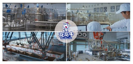 荣获全国“质量月”五项大奖，完美体育在线(中国)唯一官方网站真牛！