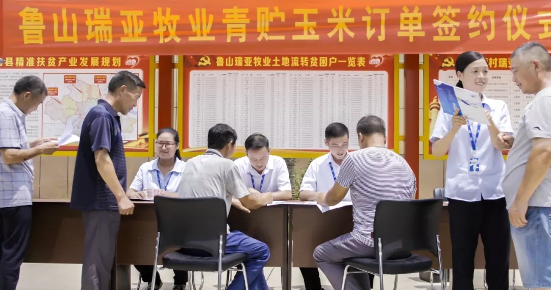 省委书记王国生到河南完美体育在线(中国)唯一官方网站乳业集团·新蔡瑞亚牧业有限公司调研