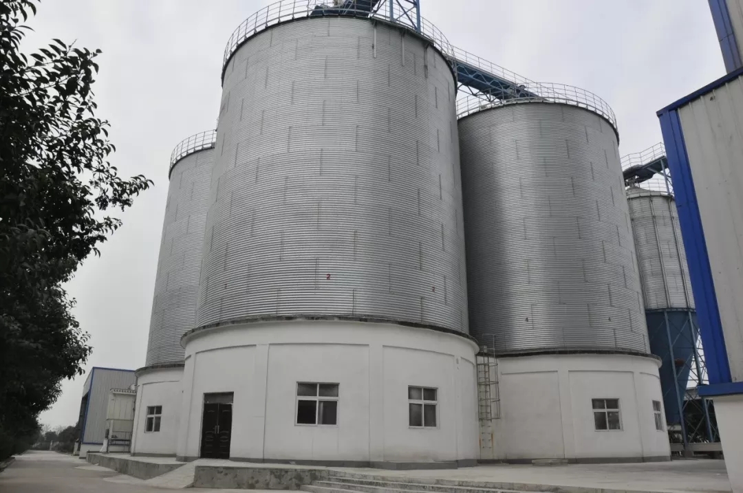 第31届中原畜牧业交易博览会 || 完美体育在线(中国)唯一官方网站乳业集团获“河南省畜牧行业——最具影响力品牌”奖