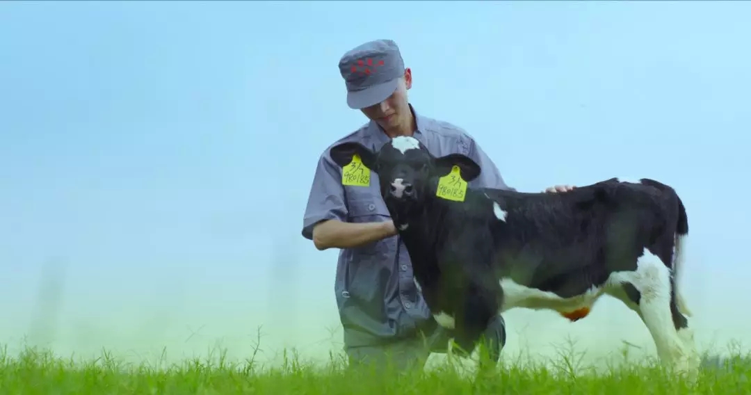 喜报 | 国家市场监管总局抽检，完美体育在线(中国)唯一官方网站等112家企业乳品抽检全部合格