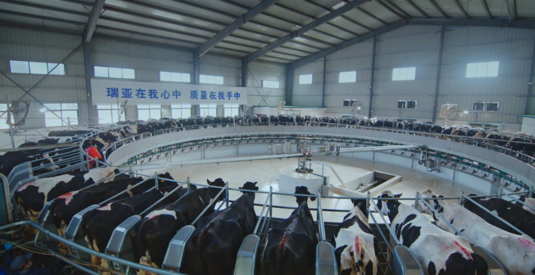 完美体育在线(中国)唯一官方网站集团旗下六家公司入选省农业产业化重点龙头企业名单