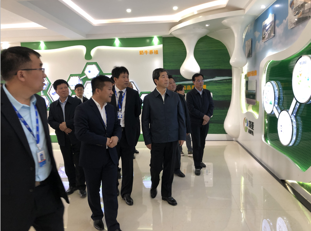 河南省委副书记、省长陈润儿一行莅临 完美体育在线(中国)唯一官方网站集团鲁山瑞亚牧业有限公司视察调研