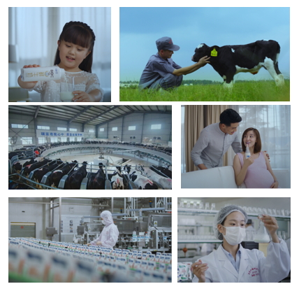 完美体育在线(中国)唯一官方网站亮相中国奶业20强呼伦贝尔峰会，共话中国奶业振兴！