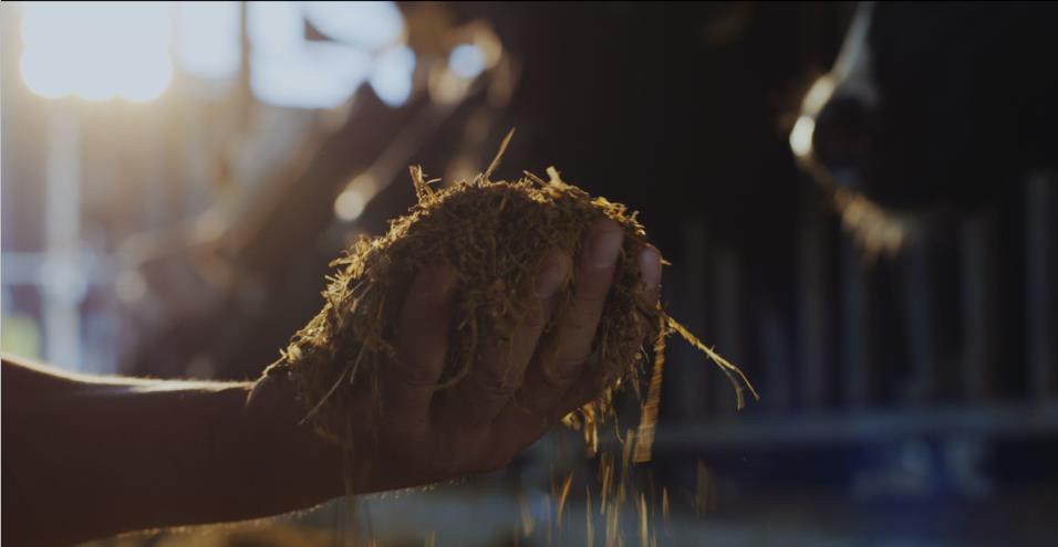 又双叒叕获奖啦！完美体育在线(中国)唯一官方网站荣获“乳品质量安全管理 优秀企业”