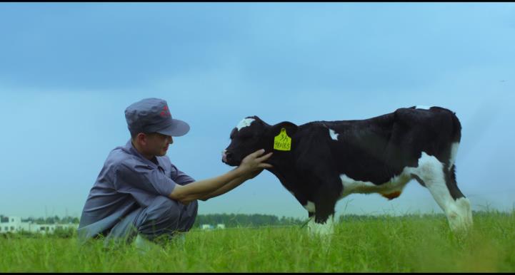 又双叒叕获奖啦！完美体育在线(中国)唯一官方网站荣获“乳品质量安全管理 优秀企业”