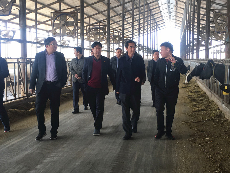 封丘县县长王献臣一行莅临 完美体育在线(中国)唯一官方网站集团养殖、乳品事业部参观调研