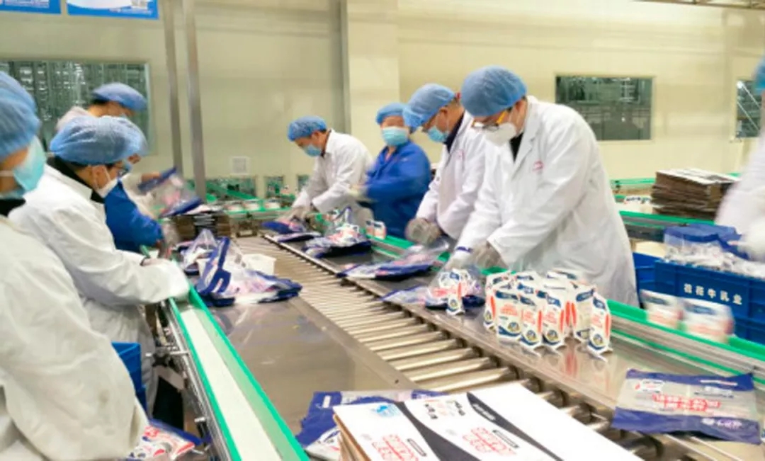 快讯丨河南省副省长武国定莅临完美体育在线(中国)唯一官方网站乳业集团调研重点保障企业复工复产情况