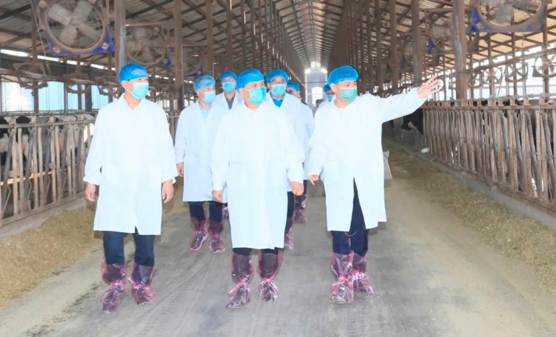 快讯丨河南省人民政府副省长武国定莅临完美体育在线(中国)唯一官方网站乳业集团瑞亚牧业调研奶源基地建设情况
