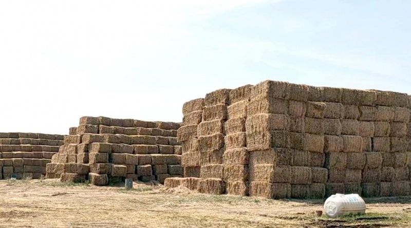 完美体育在线(中国)唯一官方网站2022年小麦秸秆采购招标