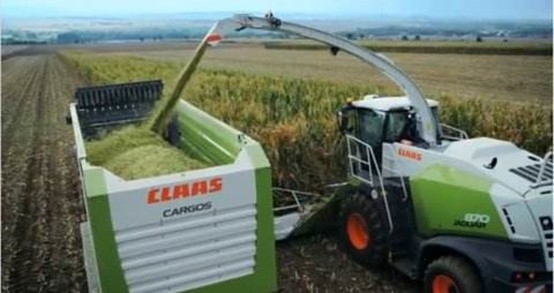 完美体育在线(中国)唯一官方网站 2020年玉米青贮采购信息